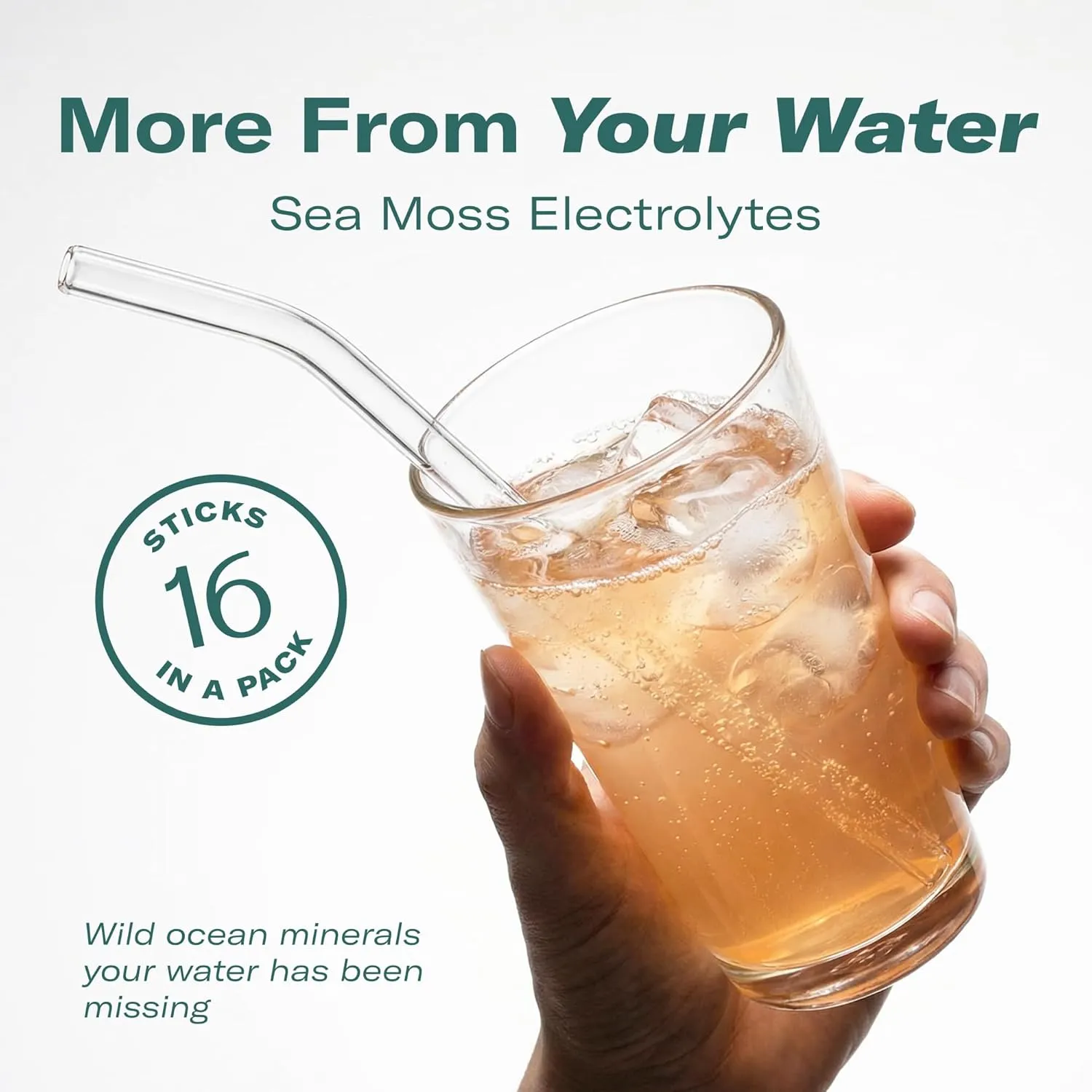 TrueSeaMoss Electrolytes Powder Packets – Made in USA – 16 Stickpacks – Hydration Powder with Sea Moss with Potassium – No Sugar Drinks – Variety Pack - Image 3