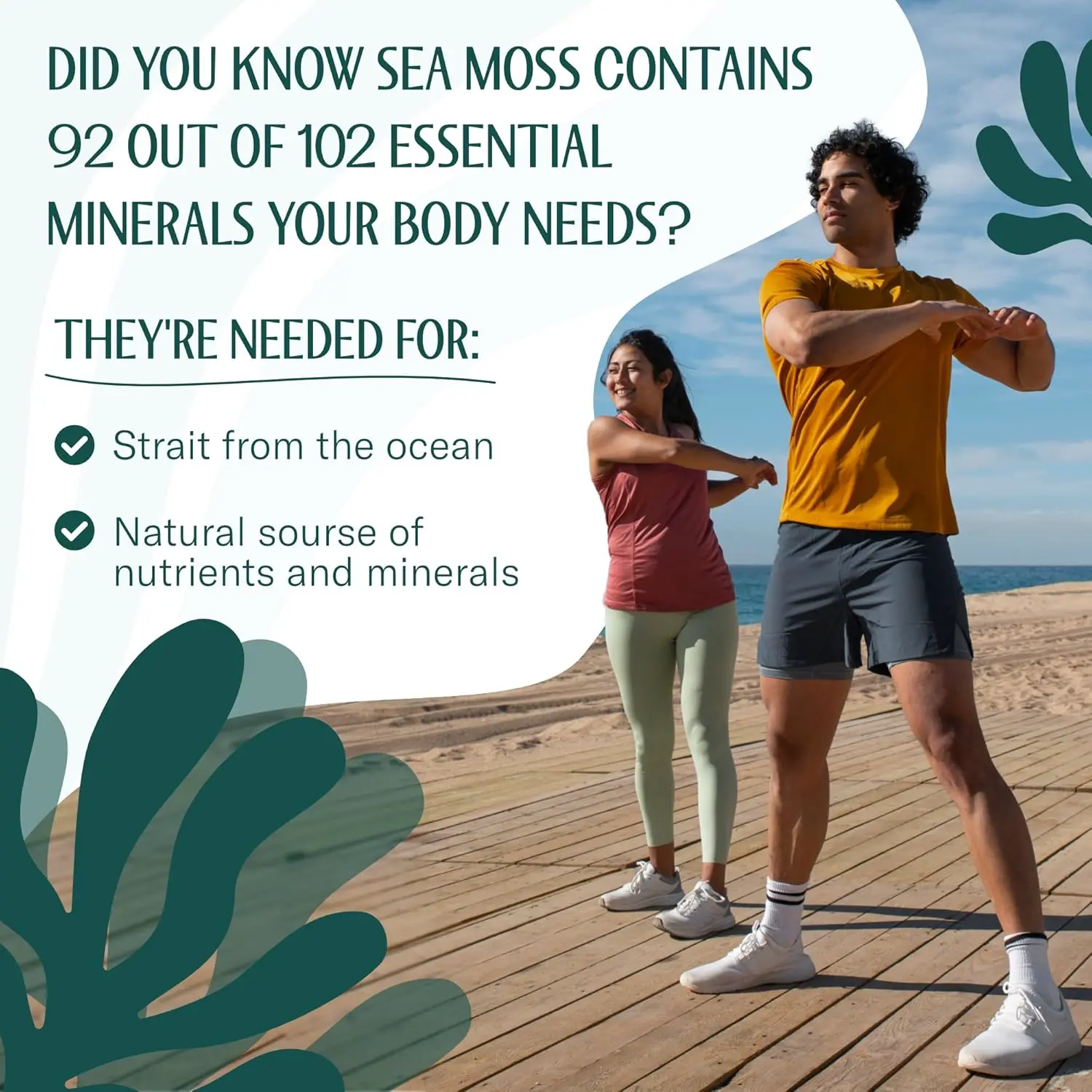 GOLD RAW DRIED SEA MOSS - Image 5