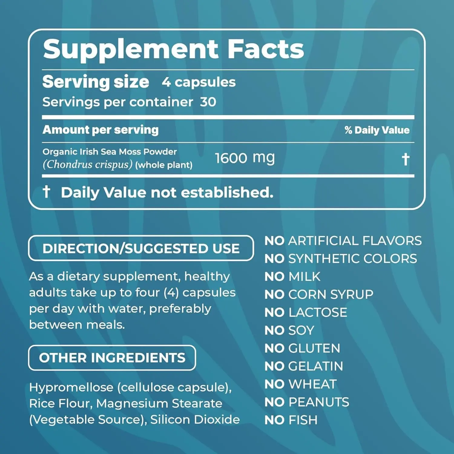 NATURAL SEA MOSS CAPSULES - Image 2