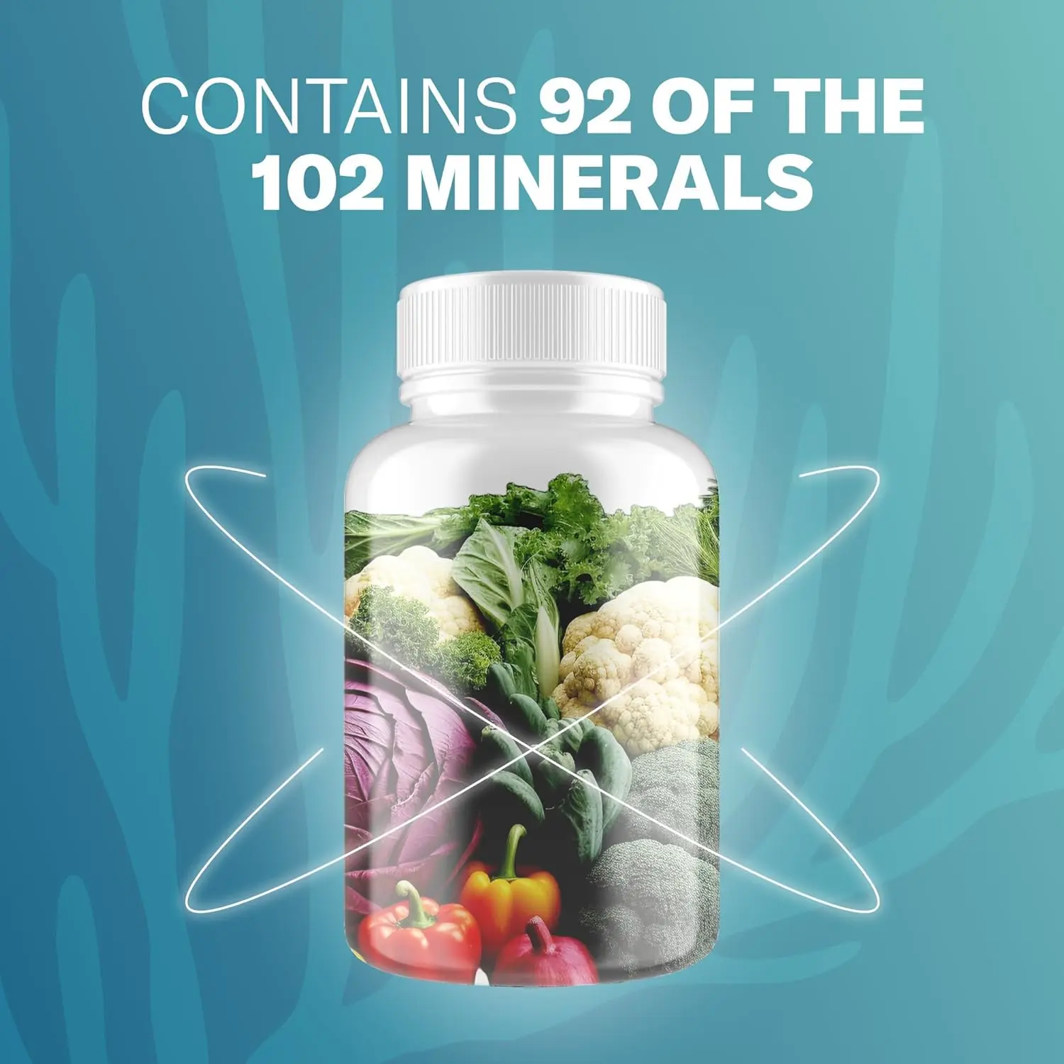NATURAL SEA MOSS CAPSULES - Image 4