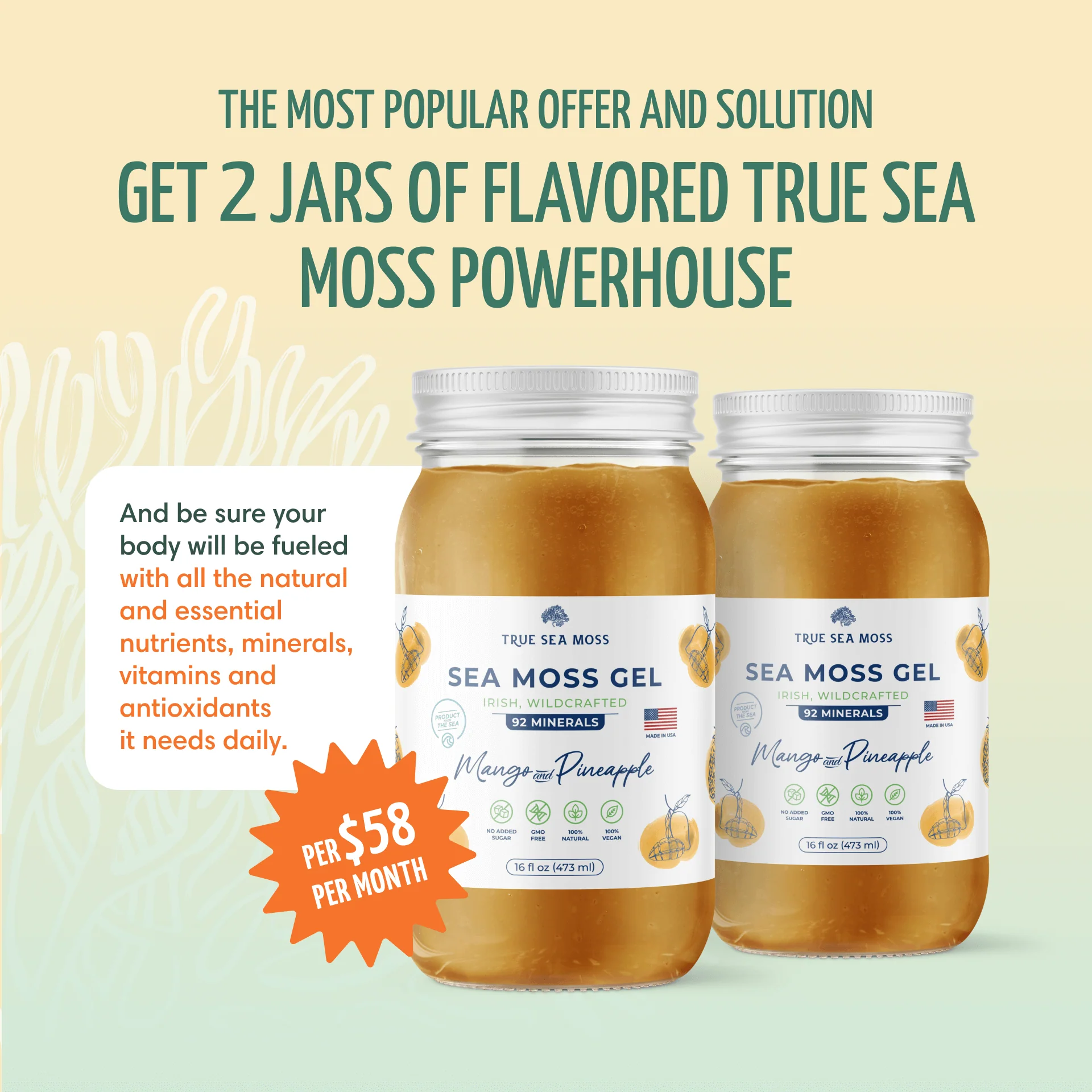 True Sea Moss Gel - Powerful Natural Superfood - Image 13