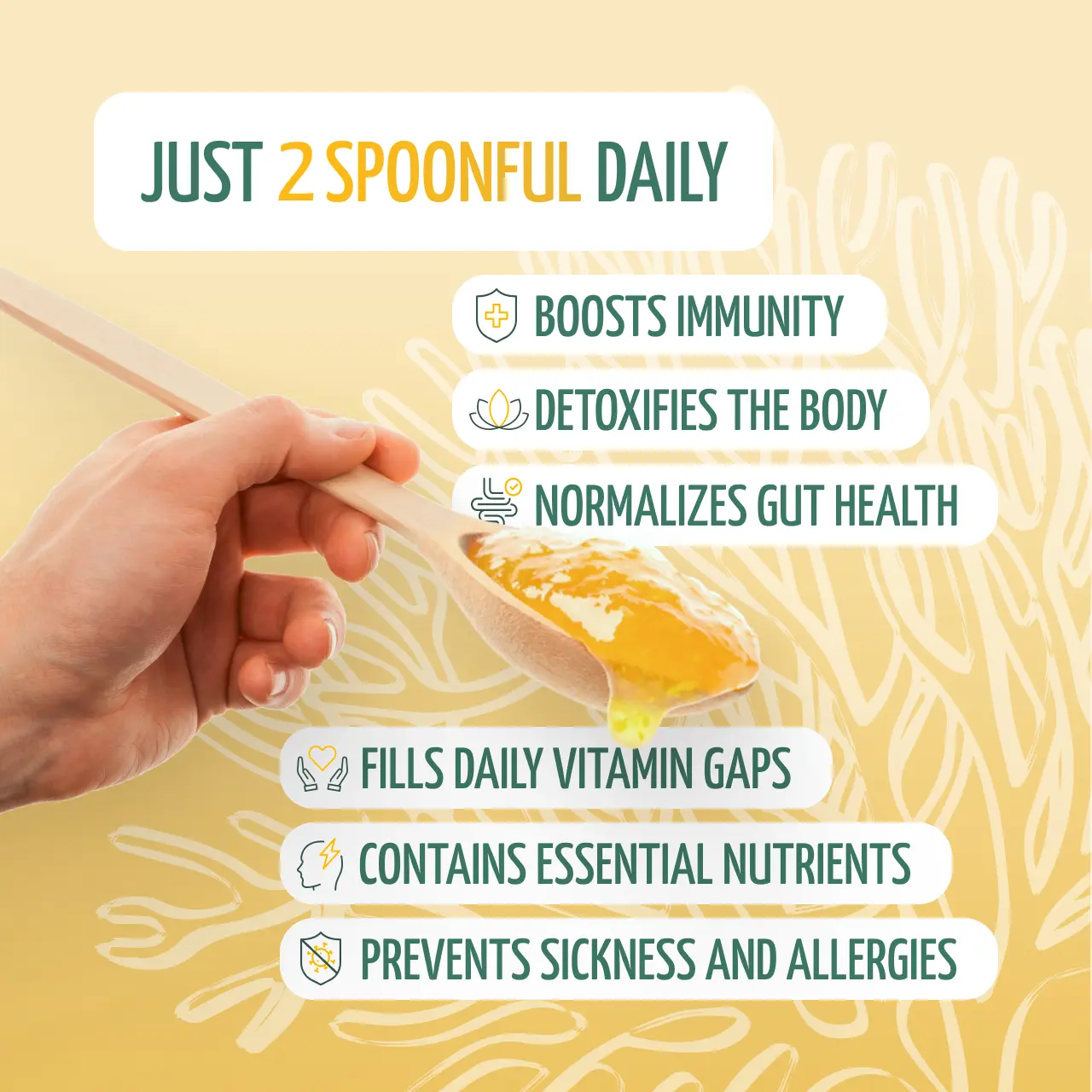 True Sea Moss Superfood - Image 7